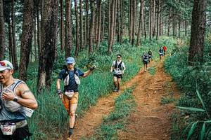 BIB: 
                            <button type="button" onclick="openModal(25713779)" class="btn btn-primary btn-sm float-right btn-popup" data-toggle="modal" data-target=".modal-high-quality">
                        <i class="fas fa-shopping-cart"></i> Add to Cart
                    </button>
                                            <button type="button" onclick="isThisMe(25713779, true)" class="btn btn-success btn-sm float-right btn-popup btn-isme hidden" data-toggle="tooltip" data-placement="bottom" title="นี่คือรูปของคุณใช่ไหม คลิกที่นี่เพื่อเอาเข้าอัลบั้ม">
                        <i class="fas fa-plus"></i> Add to album
                    </button>
                    <button type="button" onclick="isThisMe(25713779, false)" class="btn btn-warning btn-sm float-right btn-popup btn-isnotme hidden">
                        <i class="fas fa-ban"></i> Remove from album
                    </button>